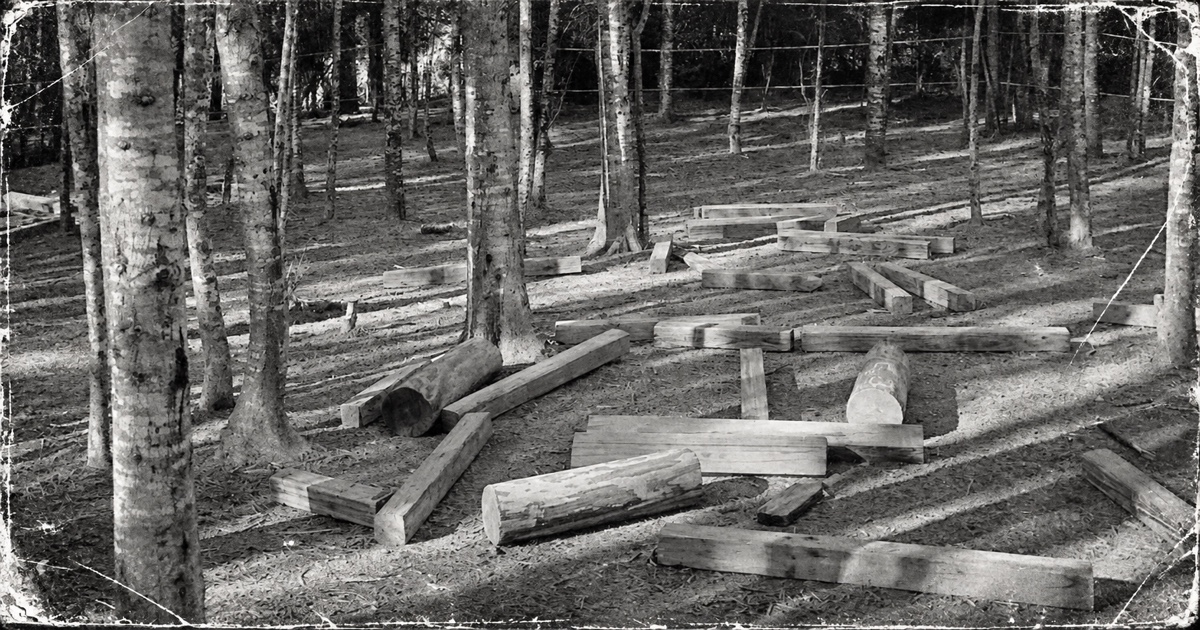 Stories About the Haunted Camp Lula Sams