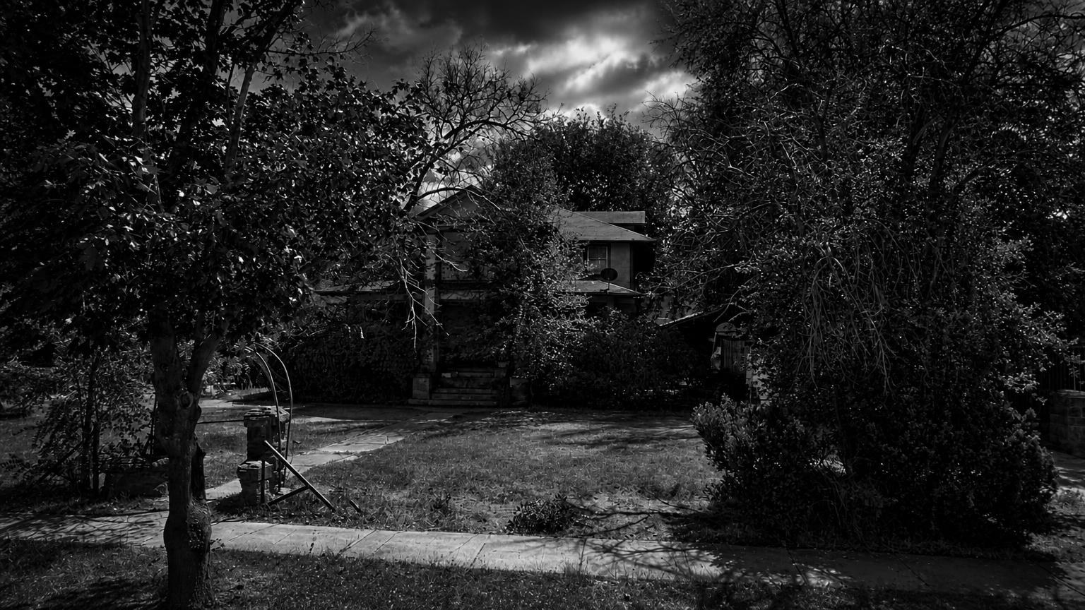 Monochrome editorial rendering of Boise Murder House, Idaho.