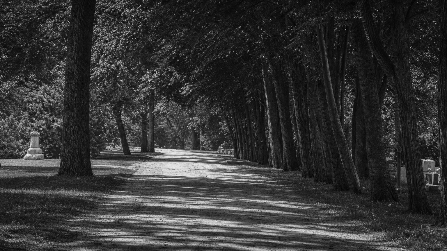 Monochrome editorial rendering of a tree-lined avenue in Riverside Cemetery.