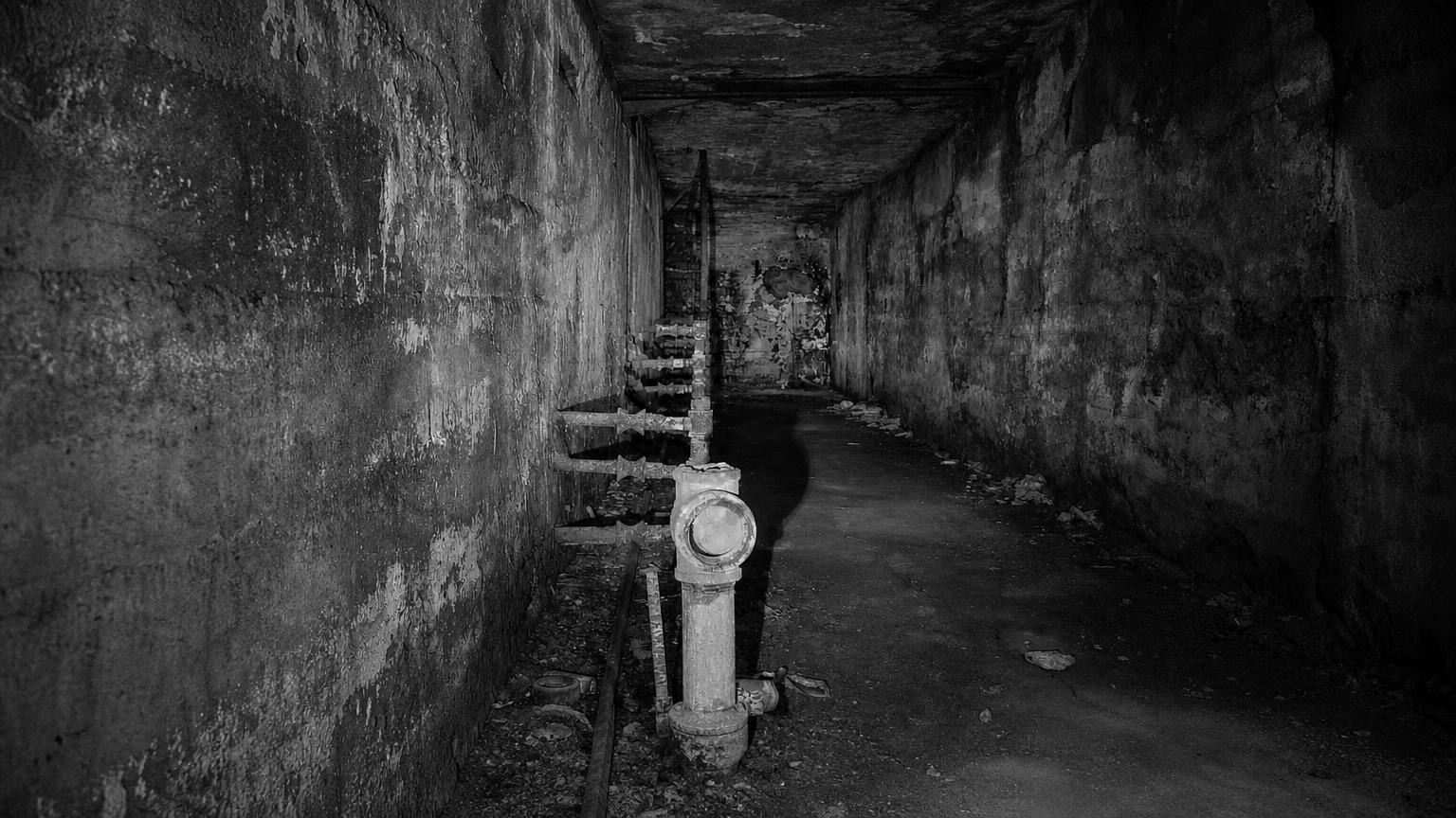 Monochrome editorial rendering of Nopeming Sanatorium, Minnesota.