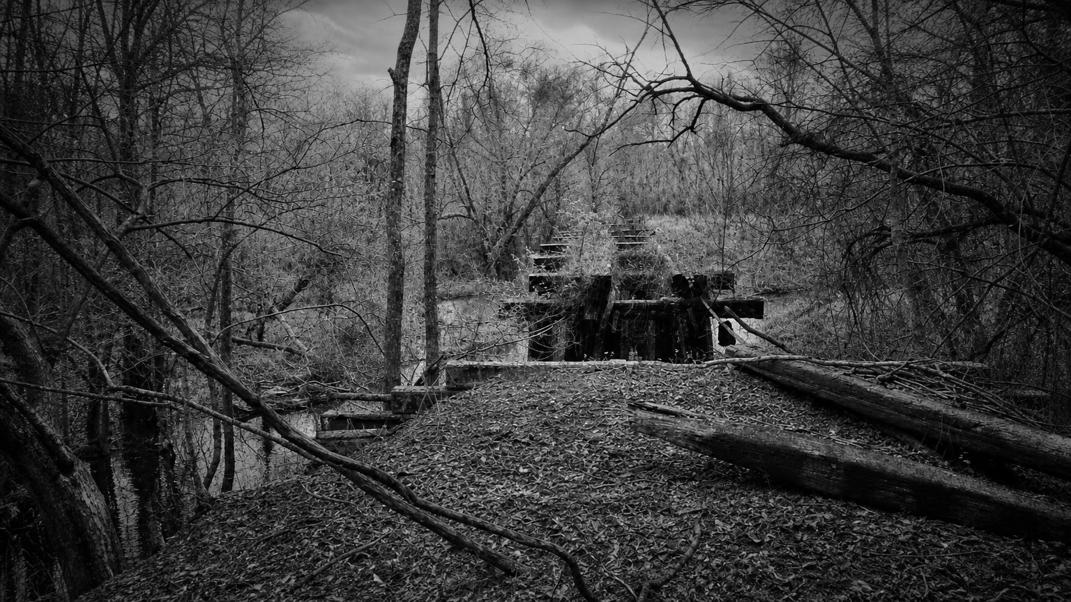 Monochrome editorial rendering of a wooded former rail setting from the migrated Crossett reference image.